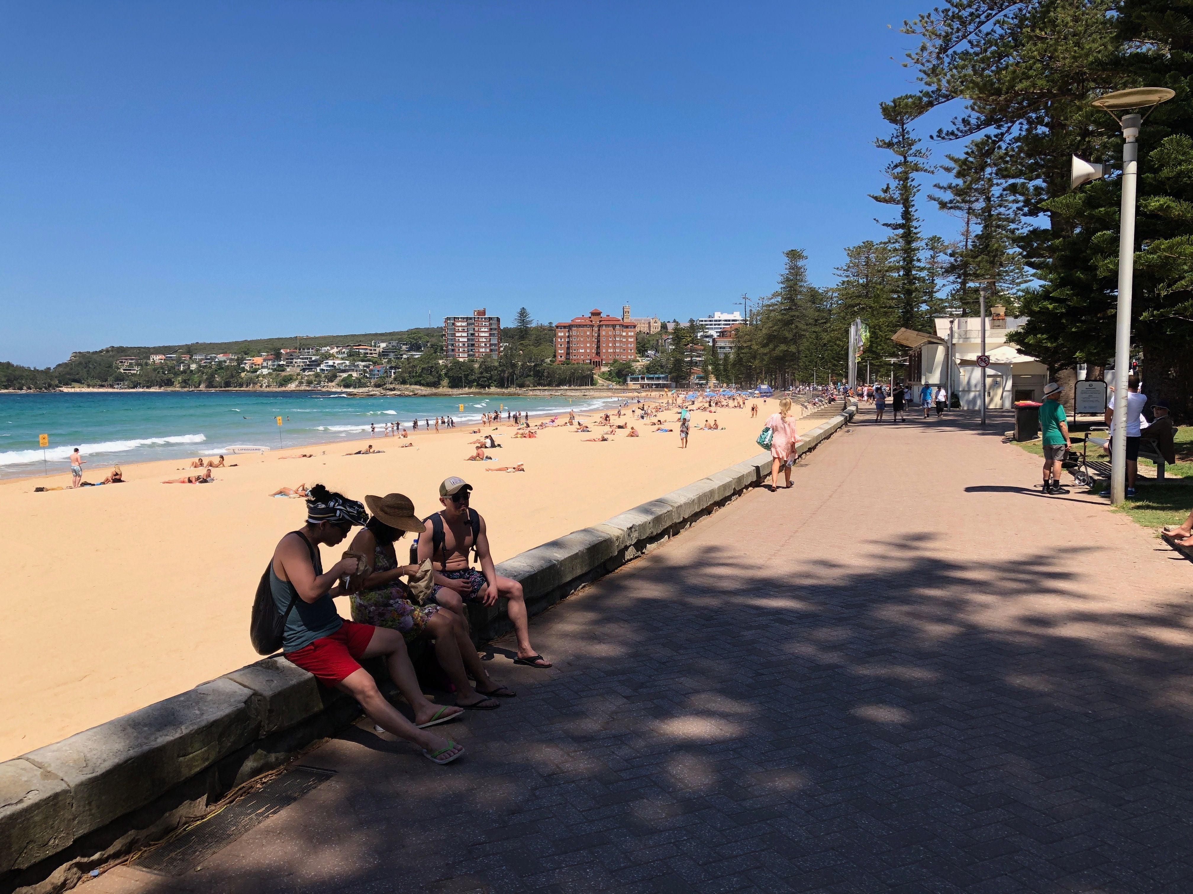 Northern Beaches Public Day Tour febuary 2019 Image -5c649639284ea